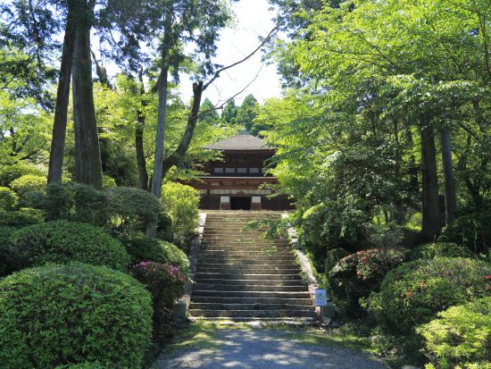 貸切観光タクシー 西国札所めぐり 三井寺・石山寺を訪れる＜2.5時間／1～9名／大津市内発着／京都発着オプションあり＞by 滋賀ヤサカ自動車