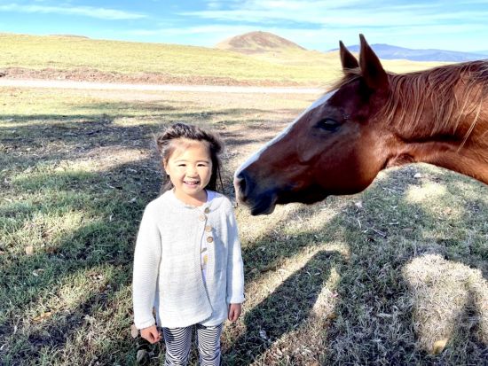 ハワイ島フォトツアー　溶岩大地やコナコーヒー農園などハワイ島の人気スポットを巡りながら、ガイドが旅の様子を撮影！ ＜午前／日本語ガイド＞