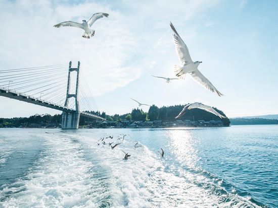 かもめクルージング１１