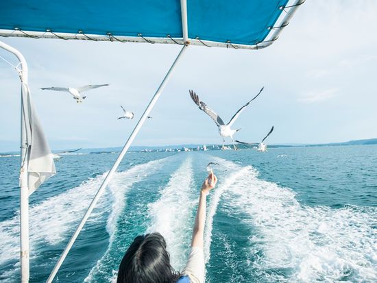 かもめクルージング３