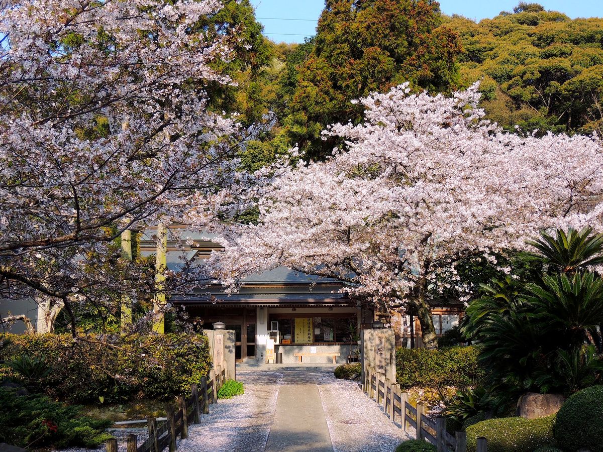 お遍路ツアー 四国1 番 全の札所を網羅 四国1周も可能 選べる11コース 7時間 松山発 愛媛の観光 遊び 体験 レジャー専門予約サイト Veltra ベルトラ