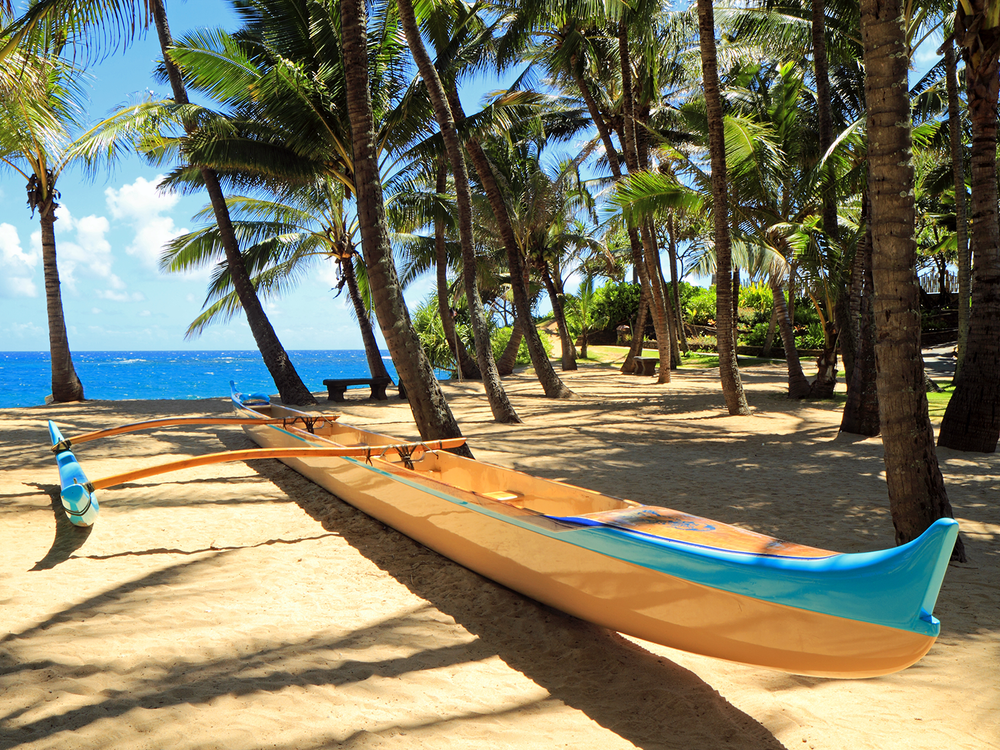 Hawaiian Canoe Surfing & Paddling Tour Adventure from Waikoloa