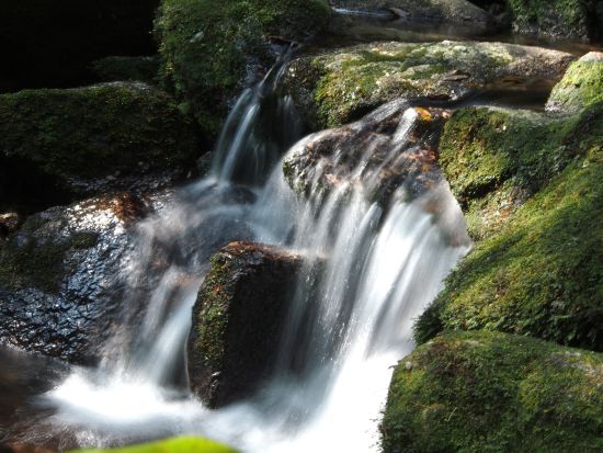 白谷雲水峡・太鼓岩トレッキングツアー　豪華6点フル装備レンタル付き  by Yamakara屋久島