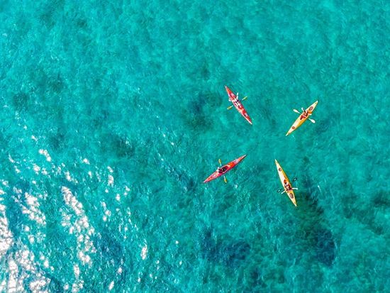 243698024_403648437775377_9017685443972373036_n