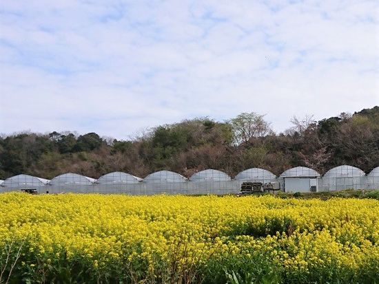 アグリみとイメージ10_明るさ補正