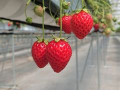 アグリみとイメージ8_resize