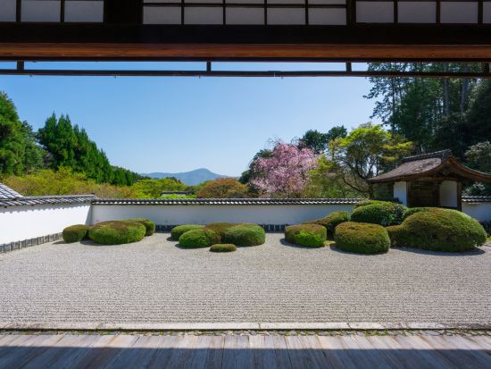 【英語堪能ドライバー確約】貸切観光タクシー 自由に観光できるフリープラン ＜4～6人乗り普通車・9人乗りジャンボタクシー／3～7時間＞by 興進タクシー