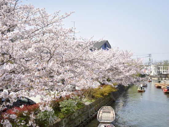 【貸切船】柳川 川下り　プライベート空間で四季移り変わる掘割の風情ある景色を堪能　09:30～15:00で時間指定可能  by柳川観光開発株式会社