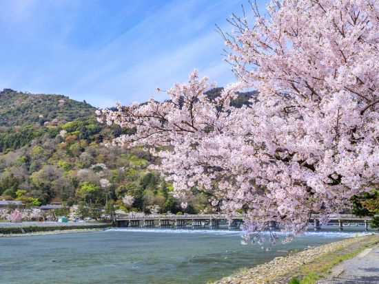 トロッコ列車と保津川下り バスツアー 並ばずスムーズに乗船＆乗車！嵐山散策も＜京都駅発／1日＞by おこしバス（京都定期観光バス）