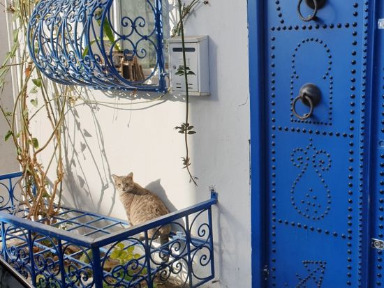 世界遺産メディナとカルタゴ遺跡群　日帰りツアー ＜貸切／昼食付き／日本語または英語ガイド／チュニス発＞