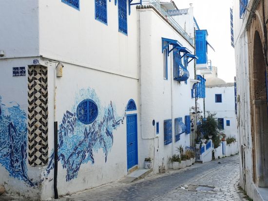 世界遺産メディナとカルタゴ遺跡群　日帰りツアー ＜貸切／昼食付き／日本語または英語ガイド／チュニス発＞