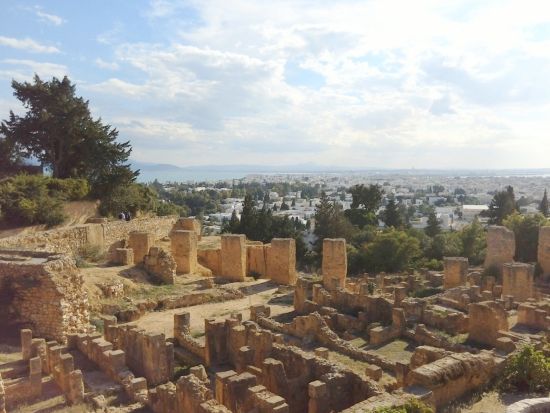 世界遺産メディナとカルタゴ遺跡群　日帰りツアー ＜貸切／昼食付き／日本語または英語ガイド／チュニス発＞