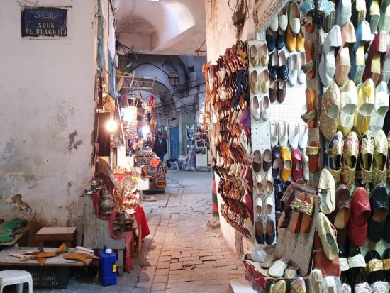 世界遺産メディナとカルタゴ遺跡群　日帰りツアー ＜貸切／昼食付き／日本語または英語ガイド／チュニス発＞