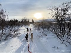 Kaleido-Lodge-Dog-Sledding-01-600