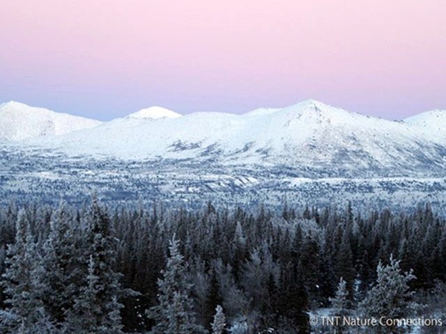 tNt-Kluane-National-Park-Winter-02-600