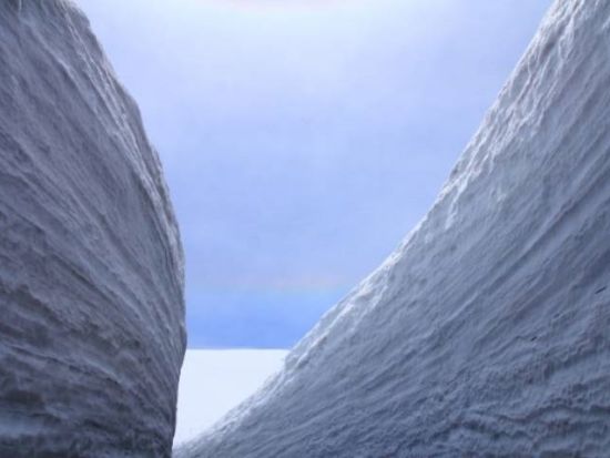 雪の大谷ウォーク日帰りバスツアー 黒部立山アルペンルート中心地の絶景を体験！＜昼食付／4～5月／名古屋発＞