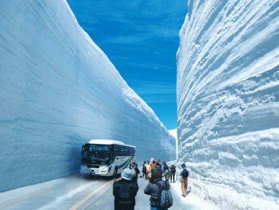 雪の大谷ウォーク日帰りバスツアー 黒部立山アルペンルート中心地の絶景を体験！＜昼食付／4～5月／名古屋発＞