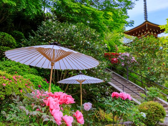 Japan_Nara_Oka-temple_pixta_77086095_M