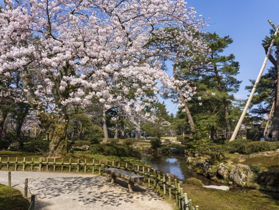 貸切観光タクシー 兼六園・金沢城など人気スポットへご案内！着物レンタル付きプランあり＜3時間／1～9名／金沢発着＞by 冨士タクシー