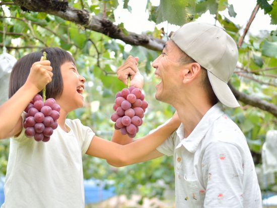 加賀周遊バス「キャンバス」乗車券　山中温泉・山代温泉・片山津温泉・那谷寺・月うさぎの里など下車可能！ゆのくにの森入場券付プランあり＜1日券or2日券＞