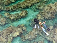 シュノーケリング 大島海峡でその日1番のシュノーケリングポイント2か所へご案内 半日 瀬戸内町 By シーゴブリンズ 奄美大島 奄美群島の観光 遊び 体験 レジャー専門予約サイト Veltra ベルトラ