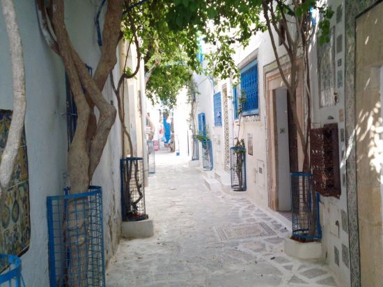 世界遺産ケルクアンとボン岬半島　日帰り観光ツアー ＜貸切／昼食付き／日本語または英語ガイド／チュニス発＞