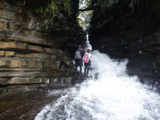 マヤグスクの滝トレッキングツアー　西表島の中でも上位を争う秘境スポット！＜10～5月／上原港または西部地区ホテル無料送迎／西表島＞