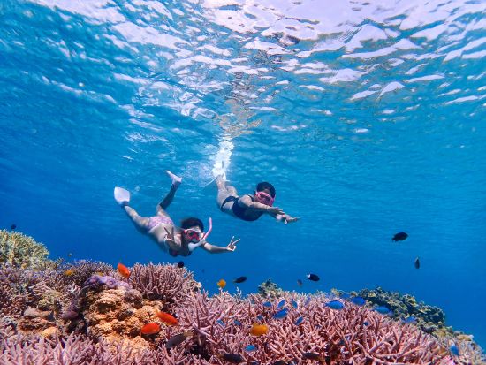 【慶良間シーカヤック＆シュノーケリング】初心者や体力に自信の無い方でも安心　世界が恋するケラマブルーを全身で感じる海上ツーリング　＜半日または1日／阿嘉島発＞