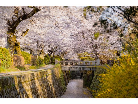 哲学の道pixta_47934811_M