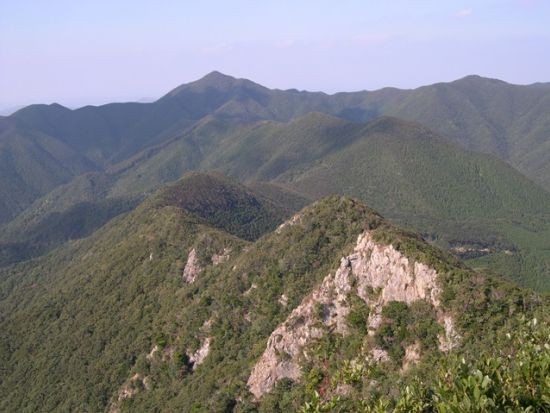 父ケ岳（ててがだけ）登山トレッキングツアー　原生林を進み五島列島最高峰の父ヶ岳頂上を目指す ＜福江島・五島市＞by アクロス五島