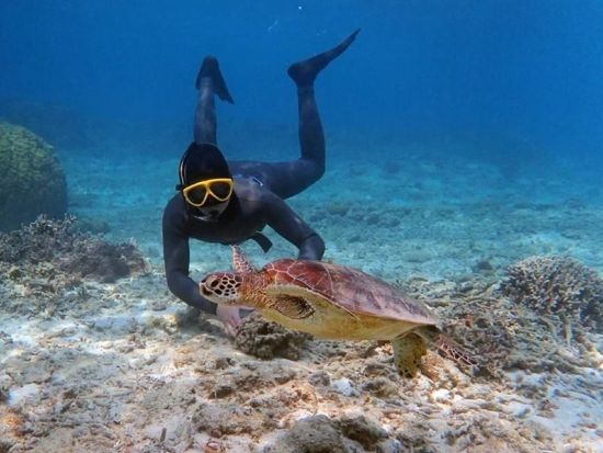 スキンダイビング　1枠1組限定の貸切制でマイペースに自由に泳げる素潜り体験　写真＆動画無料プレゼント！＜3時間／笠利町＞by OCEANZ