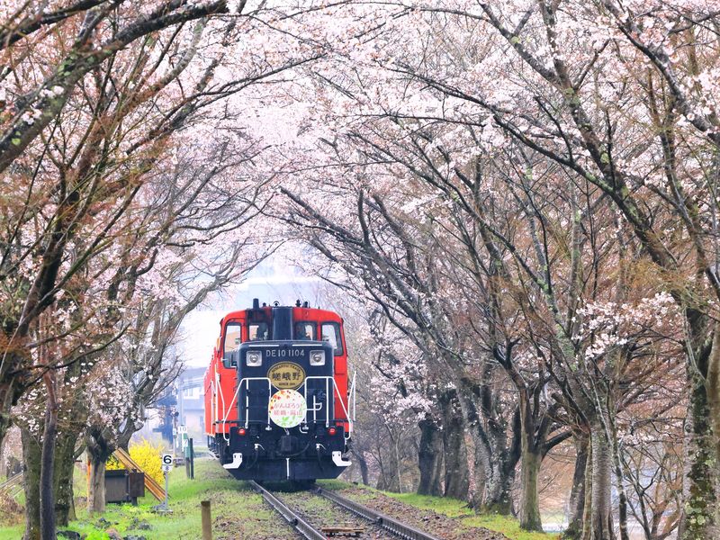 Japan_Kyoto_Arashiyama_Sagano Romantic Train_pixta_75889433