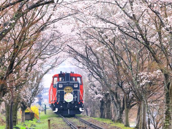  京馬車で巡る嵐山とトロッコ列車・保津川下りを楽しむ贅沢日帰りツアー					