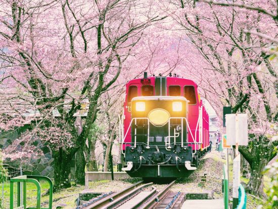 大阪発日帰りツアー 嵯峨野トロッコ列車＋保津川下り＋嵐山散策 1日ツアー＜大阪発／日本語・中国語＞