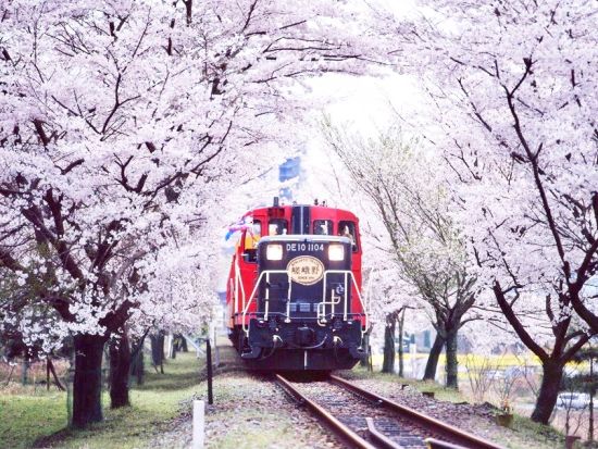 大阪発日帰りツアー 嵯峨野トロッコ列車＋保津川下り＋嵐山散策 1日ツアー＜大阪発／日本語・中国語＞
