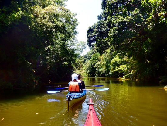 マングローブカヌー＋ナーラの滝トレッキング　小学生から参加OK！初めての方にもオススメの日帰り秘境ツアー＜上原港または西部地区ホテル無料送迎／西表島＞