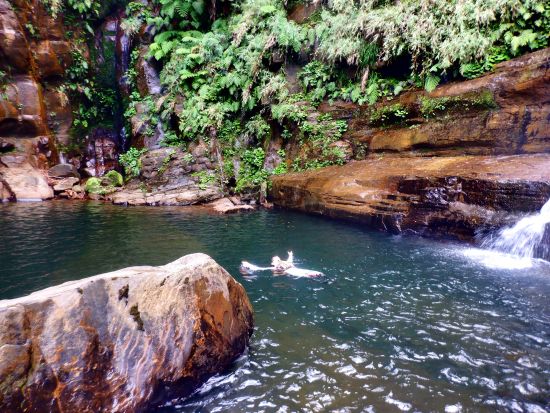 マングローブカヌー＋ナーラの滝トレッキング　小学生から参加OK！初めての方にもオススメの日帰り秘境ツアー＜上原港または西部地区ホテル無料送迎／西表島＞