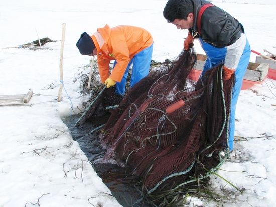 20211230053152_131860446_12177_0