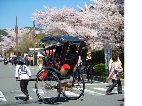【人力車貸切ツアー／高台寺発】東山散策 30～120分 ねねの道 庚申堂前＋八坂神社＋南禅寺＆選べる所要時間＜ガイド付／えびす屋＞