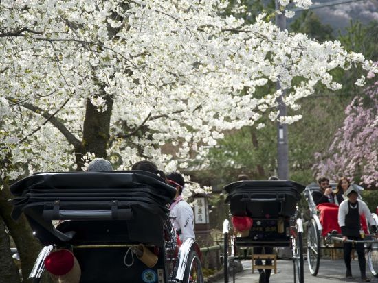 【人力車貸切ツアー／高台寺発】東山散策 30～120分 ねねの道 庚申堂前＋八坂神社＋南禅寺＆選べる所要時間＜ガイド付／えびす屋＞