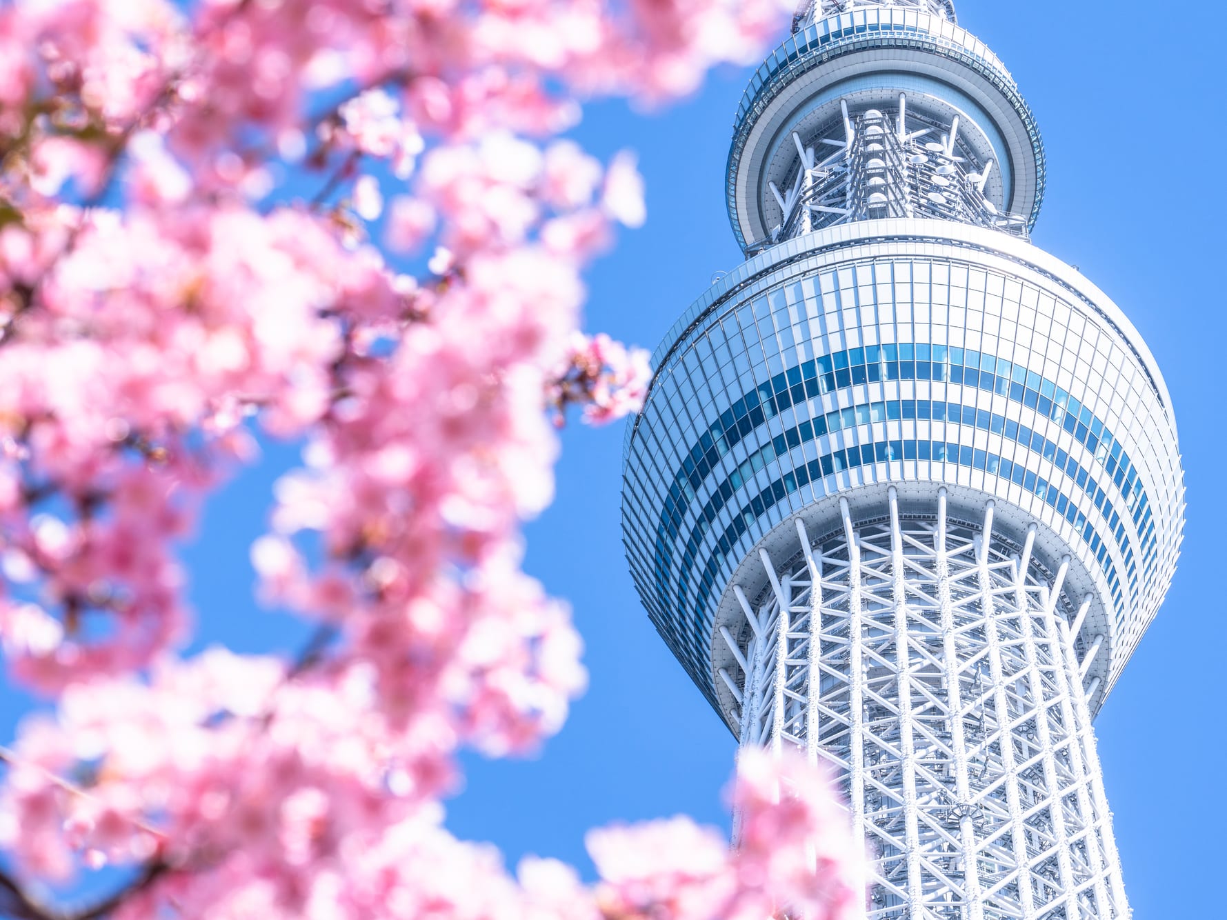 東京スカイツリー®エンジョイパック すみだ水族館入場券プラン 東京スカイツリー日時指定券（天望デッキ＋天望回廊セット券付きプランも選べる）＋すみだ水族館＜押上＞  | 東京の観光&遊び・体験・レジャー専門予約サイト VELTRA(ベルトラ)