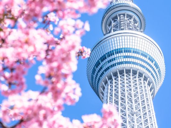 東京スカイツリー®エンジョイパック すみだ水族館入場券プラン 東京スカイツリー日時指定券（天望デッキ＋天望回廊セット券付きプランも選べる）＋すみだ水族館＜押上＞