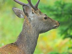pixta_77224277_M