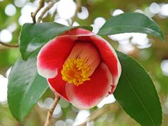 pixta_19888913_M