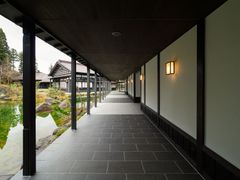 m_1 (2)