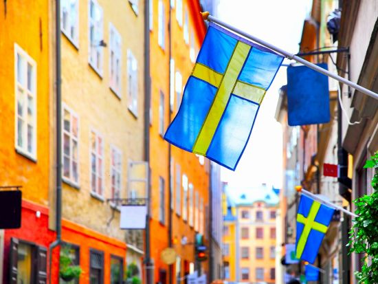 【空港送迎】ストックホルム空港⇔ストックホルム市内ホテル＜貸切／英語ドライバー＞