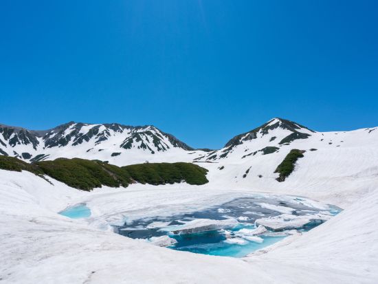 【2026】富山発着日帰りバスツアー 雪の大谷が語る水と氷の物語 雪の大谷ウォーク・立山黒部アルペンルートバスツアー 立山登山ガイドが徹底解説＜ランチ付／1日＞