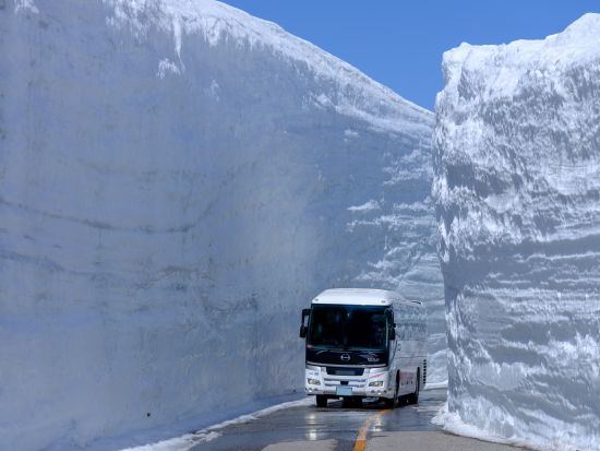 【2026】富山発着日帰りバスツアー 雪の大谷が語る水と氷の物語 雪の大谷ウォーク・立山黒部アルペンルートバスツアー 立山登山ガイドが徹底解説＜ランチ付／1日＞