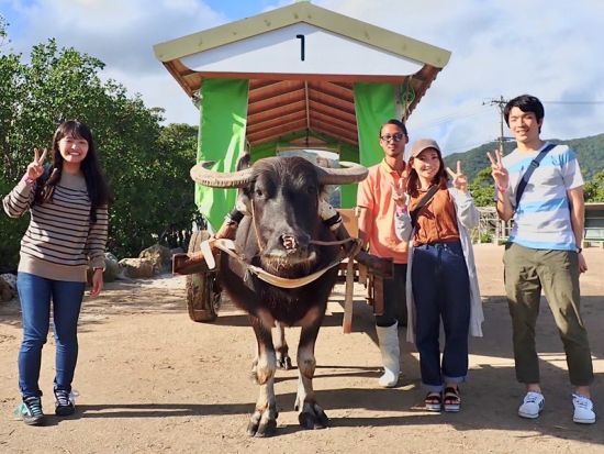 マングローブカヌー＋ピナイサーラの滝トレッキングツアー　由布島観光付きプランあり　ツアー写真プレゼント！＜昼食付き／上原港または西部地区ホテル無料送迎／西表島＞