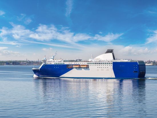 【港送迎】タリン港⇔タリン市内＜貸切／英語ドライバー＞